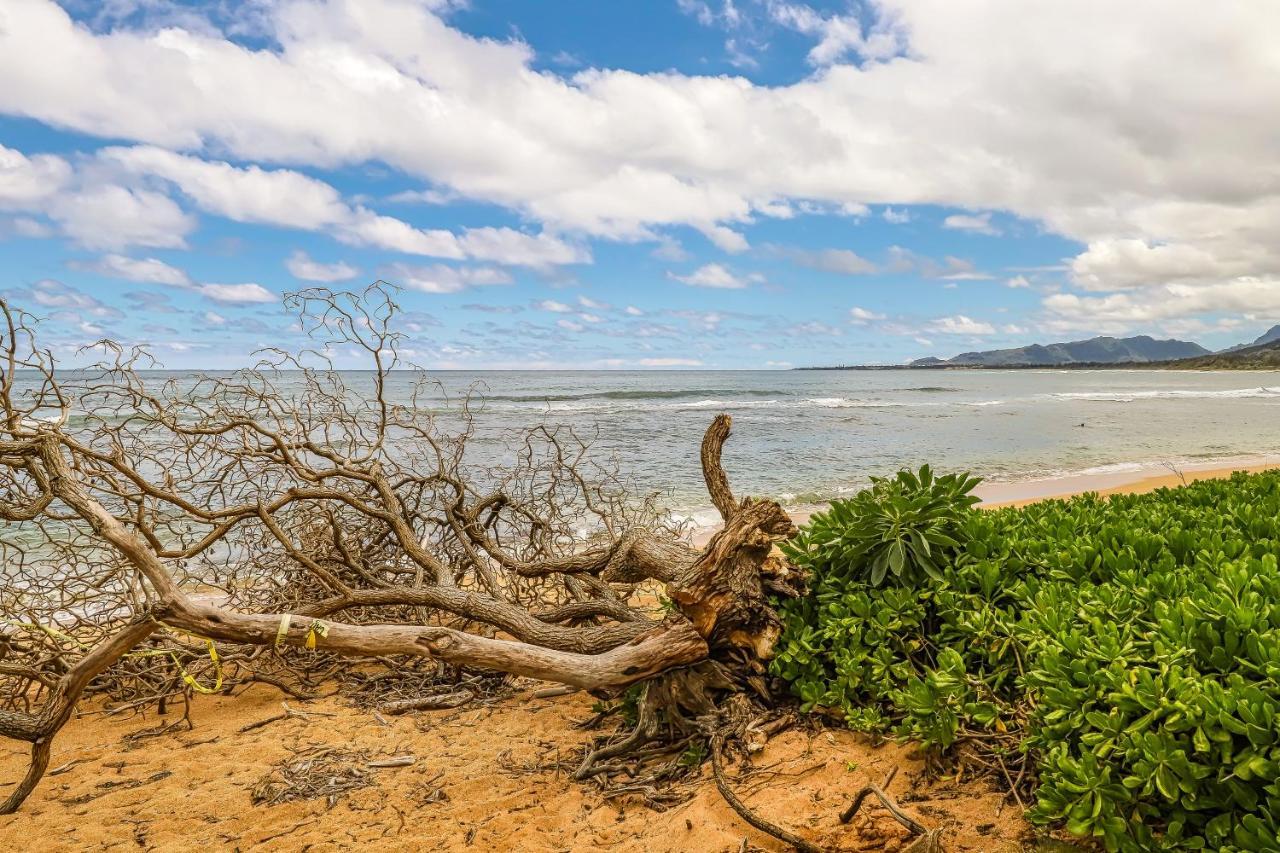 Islander On The Beach カパア エクステリア 写真