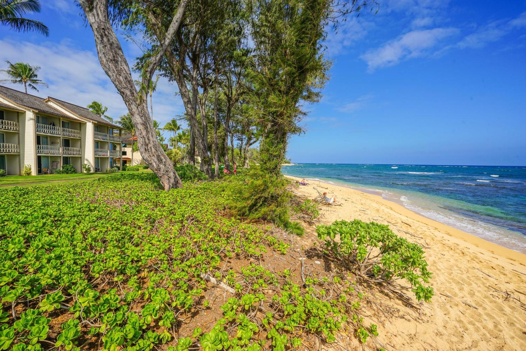 Islander On The Beach カパア 部屋 写真